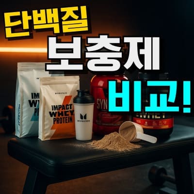 헬스 단백질 보충제 추천 프로틴 쉐이크 순위, 근육 회복과 체력 향상에 좋은 인기 제품 TOP5