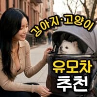 우리집 고양이, 강아지 유모차 고르기